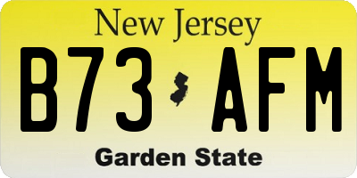 NJ license plate B73AFM