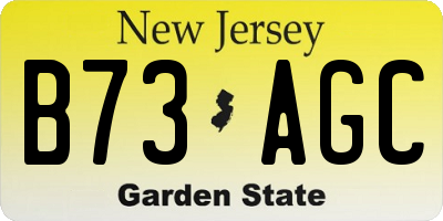 NJ license plate B73AGC