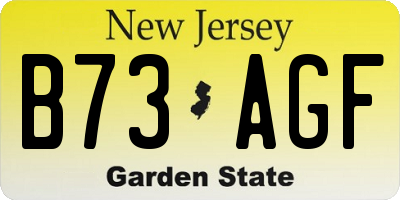 NJ license plate B73AGF