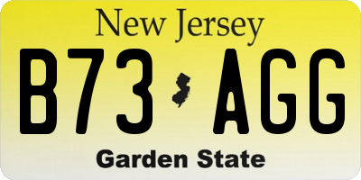 NJ license plate B73AGG