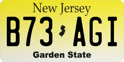 NJ license plate B73AGI