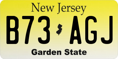 NJ license plate B73AGJ