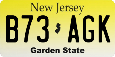 NJ license plate B73AGK