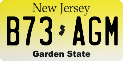 NJ license plate B73AGM