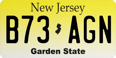 NJ license plate B73AGN