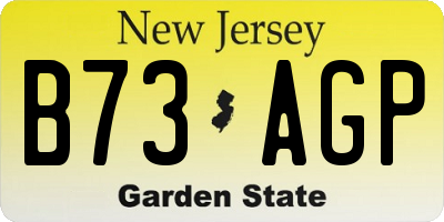 NJ license plate B73AGP