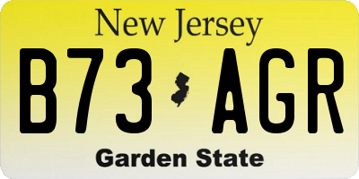 NJ license plate B73AGR