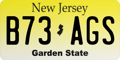 NJ license plate B73AGS