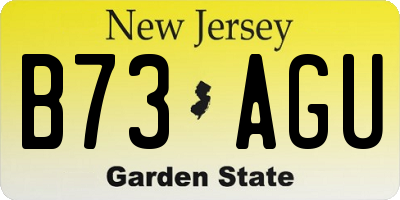 NJ license plate B73AGU