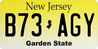 NJ license plate B73AGY