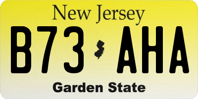 NJ license plate B73AHA