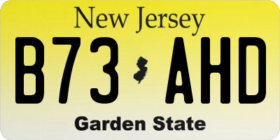 NJ license plate B73AHD