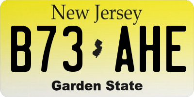 NJ license plate B73AHE