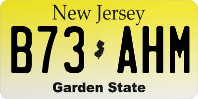 NJ license plate B73AHM