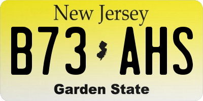 NJ license plate B73AHS