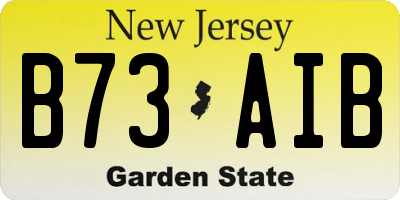 NJ license plate B73AIB