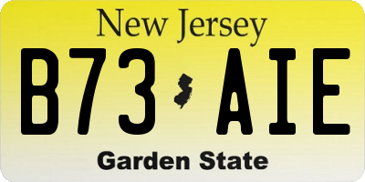 NJ license plate B73AIE