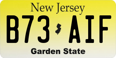 NJ license plate B73AIF