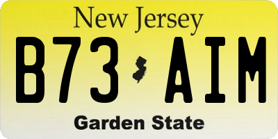 NJ license plate B73AIM