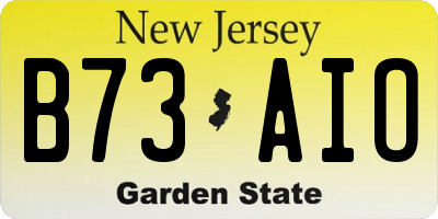 NJ license plate B73AIO