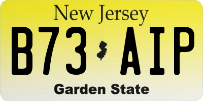 NJ license plate B73AIP