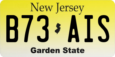 NJ license plate B73AIS