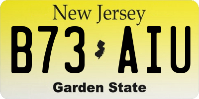 NJ license plate B73AIU