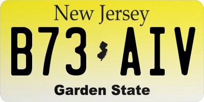 NJ license plate B73AIV
