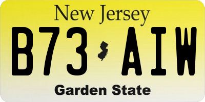 NJ license plate B73AIW