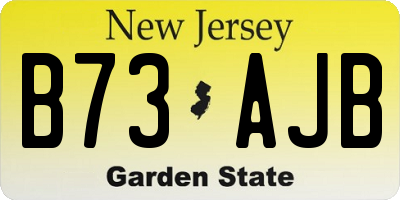 NJ license plate B73AJB