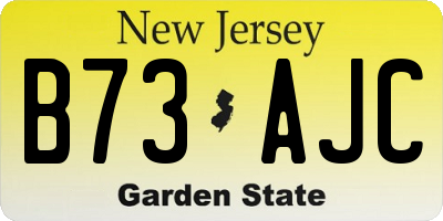 NJ license plate B73AJC
