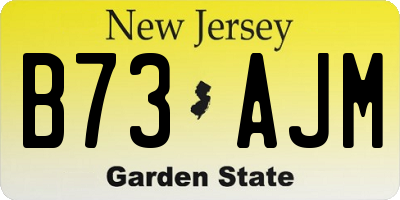 NJ license plate B73AJM