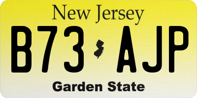 NJ license plate B73AJP