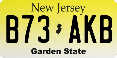 NJ license plate B73AKB