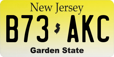 NJ license plate B73AKC