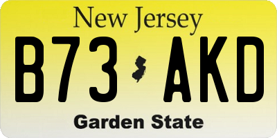 NJ license plate B73AKD
