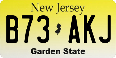 NJ license plate B73AKJ
