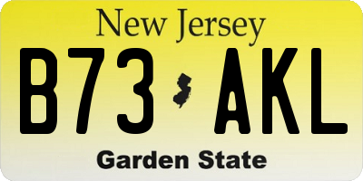 NJ license plate B73AKL