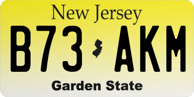 NJ license plate B73AKM