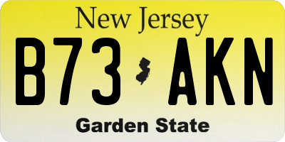 NJ license plate B73AKN