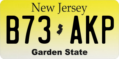 NJ license plate B73AKP