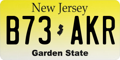NJ license plate B73AKR
