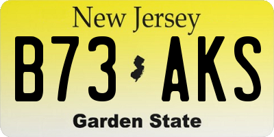 NJ license plate B73AKS
