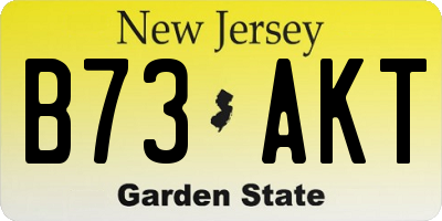 NJ license plate B73AKT