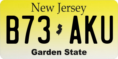 NJ license plate B73AKU