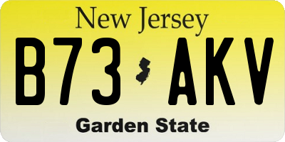 NJ license plate B73AKV