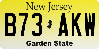 NJ license plate B73AKW