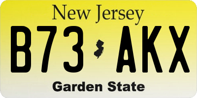 NJ license plate B73AKX