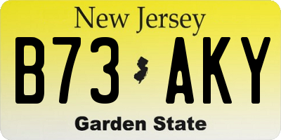 NJ license plate B73AKY