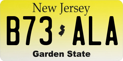 NJ license plate B73ALA